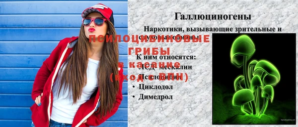 кокс Алексин