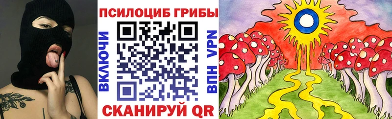 Псилоцибиновые грибы прущие грибы  цены наркотик  Алушта 