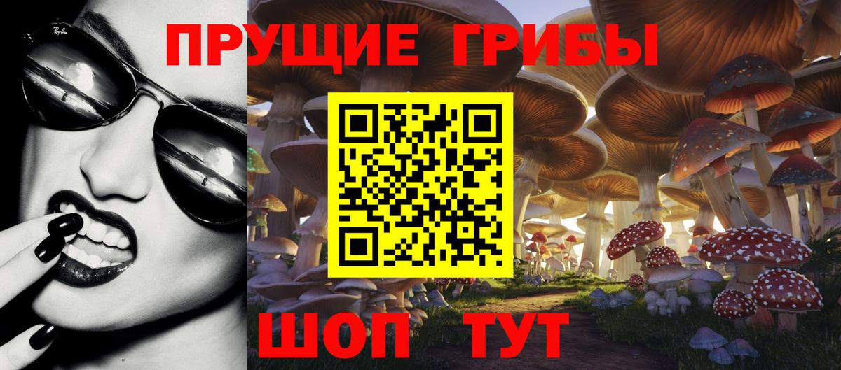 Алушта  Галлюциногенные грибы Magic Shrooms  Псилоцибиновые грибы Magic Shrooms  Вход с VPN 